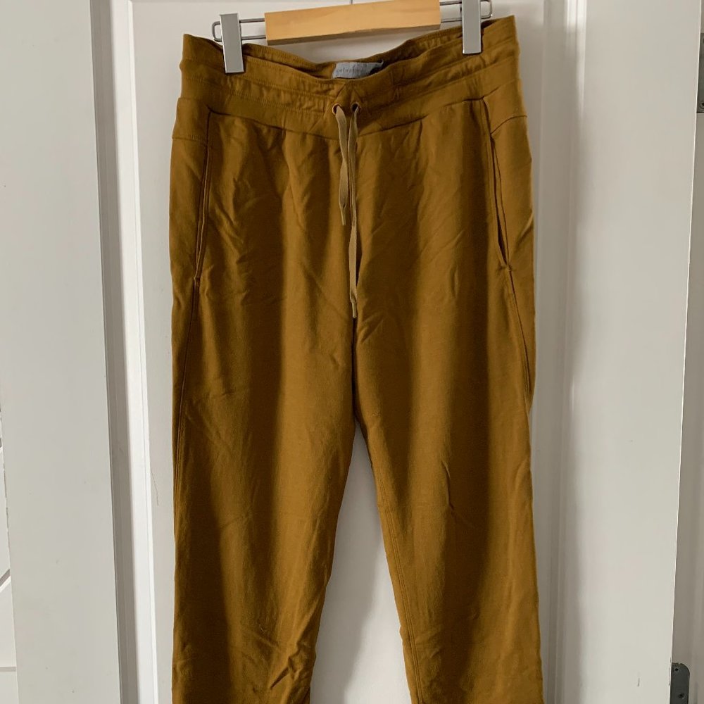 Icebreaker Women's Crush Pants in Ochre